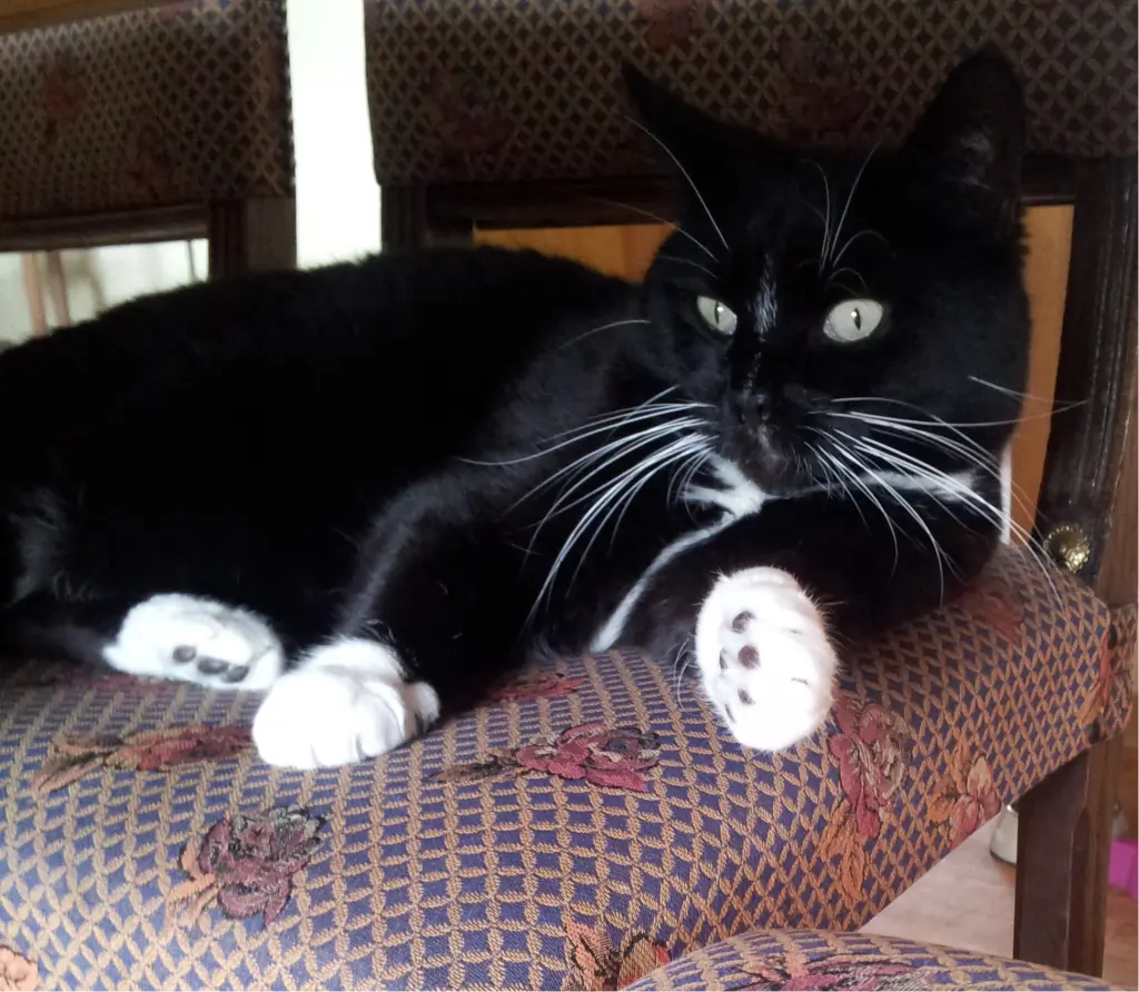 Andachtsbild von deiner Ilse in Liebe zum 46. Monatsgedenken