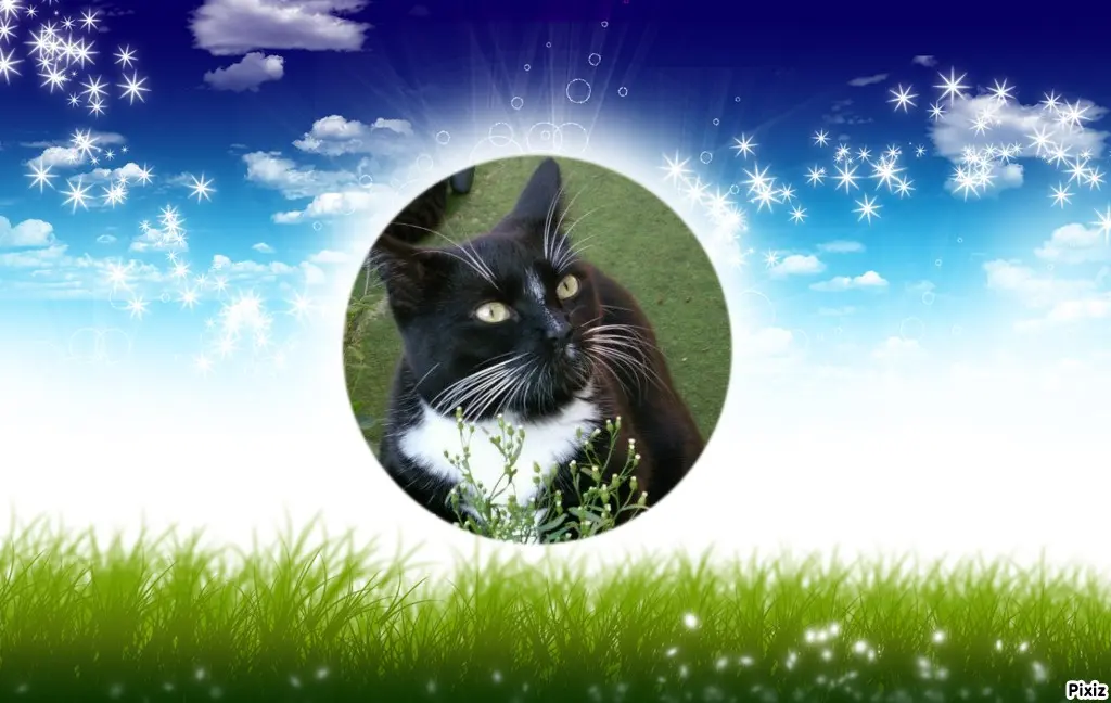 Andachtsbild von Tanja mit Timmy im Herzen