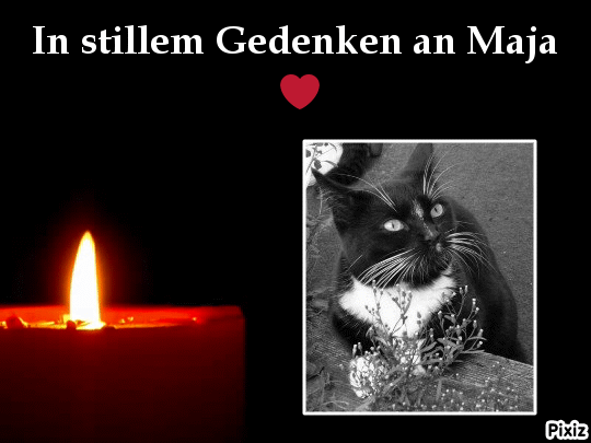 Andachtsbild von Tanja mit Timmy im Herzen 