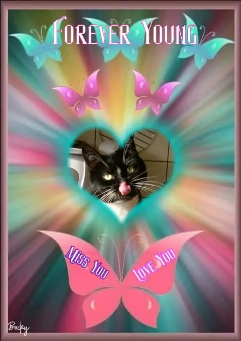 Andachtsbild von 4.Sternchen❤️Gedenktag❤️❤️❤️❤️