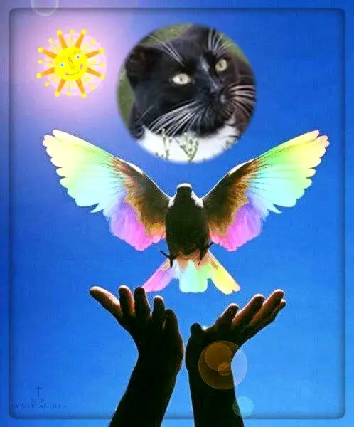 Andachtsbild von ❤️❤️❤️❤️❤️❤️❤️❤️❤️❤️❤️❤️❤️