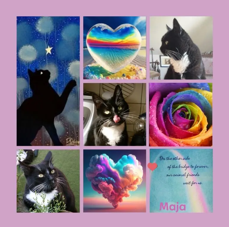 Andachtsbild von Rosen für Maja zum 4. Sternchengeburtstag