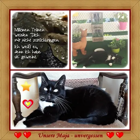 Andachtsbild von deiner Ilse in Liebe zum 4. Jahresgedenken