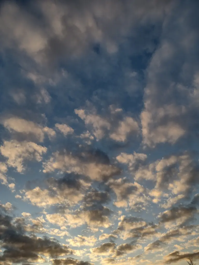 Andachtsbild von Corinna mit Emma, Jengi, Pummelchen und anderen Sternleine im Herzen