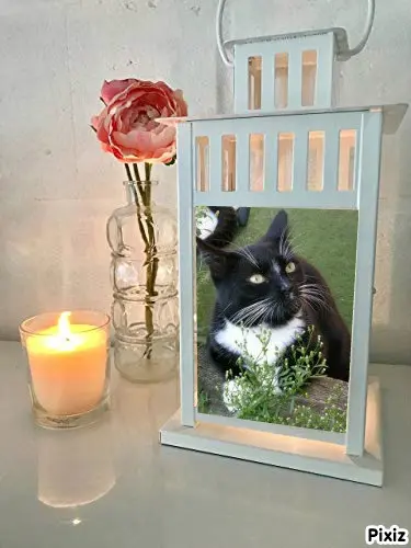 Andachtsbild von Tanja mit Timmy im Herzen 