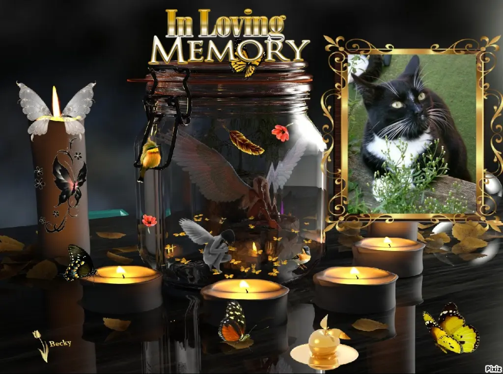 Andachtsbild von Tanja mit Timmy im Herzen 