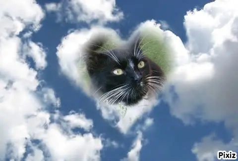 Andachtsbild von Tanja mit Timmy im Herzen 