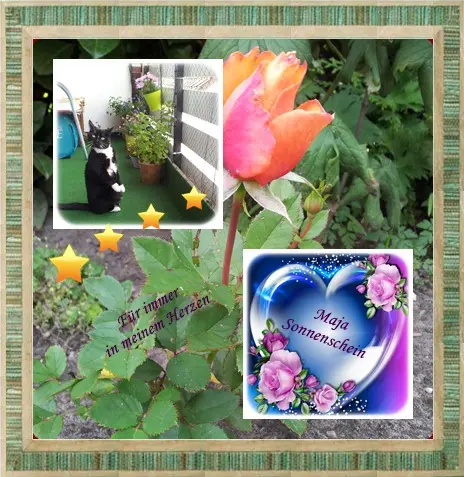 Andachtsbild von deiner Ilse in Liebe zum 52. Monatsgedenken