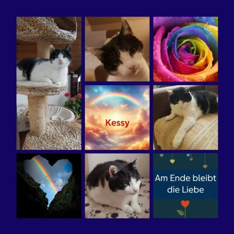 Andachtsbild von Sternenrosen für Kessy