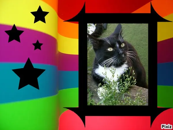 Andachtsbild von Tanja mit Timmy im Herzen