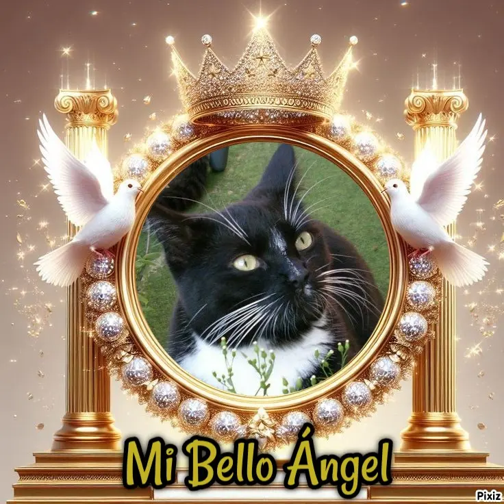 Andachtsbild von Tanja mit Timmy im Herzen