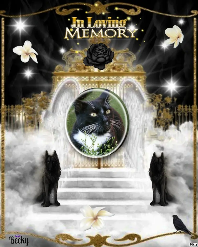 Andachtsbild von Tanja mit Timmy im Herzen