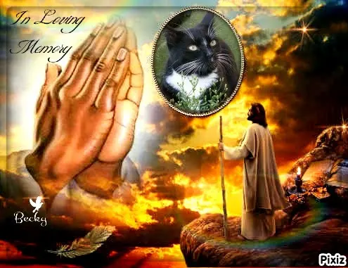 Andachtsbild von Tanja mit Timmy im Herzen