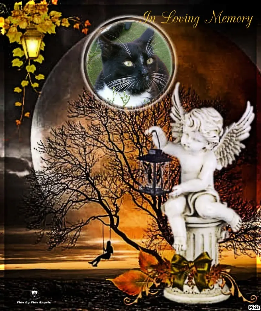 Andachtsbild von Tanja mit Timmy im Herzen