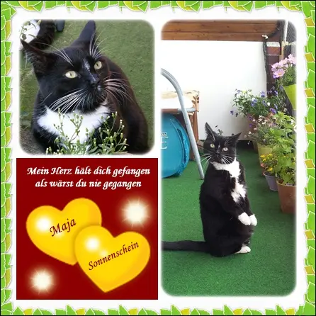 Andachtsbild von deiner Ilse in Liebe zum 57. Monatsgedenktag