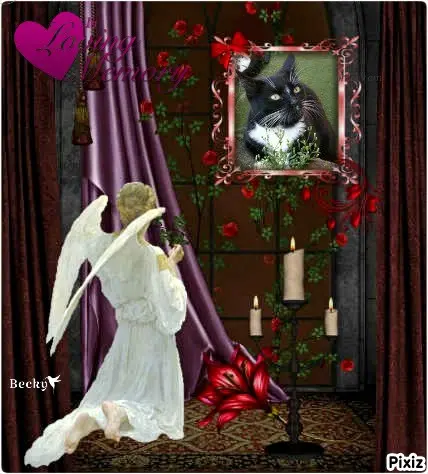 Andachtsbild von Tanja mit Timmy im Herzen