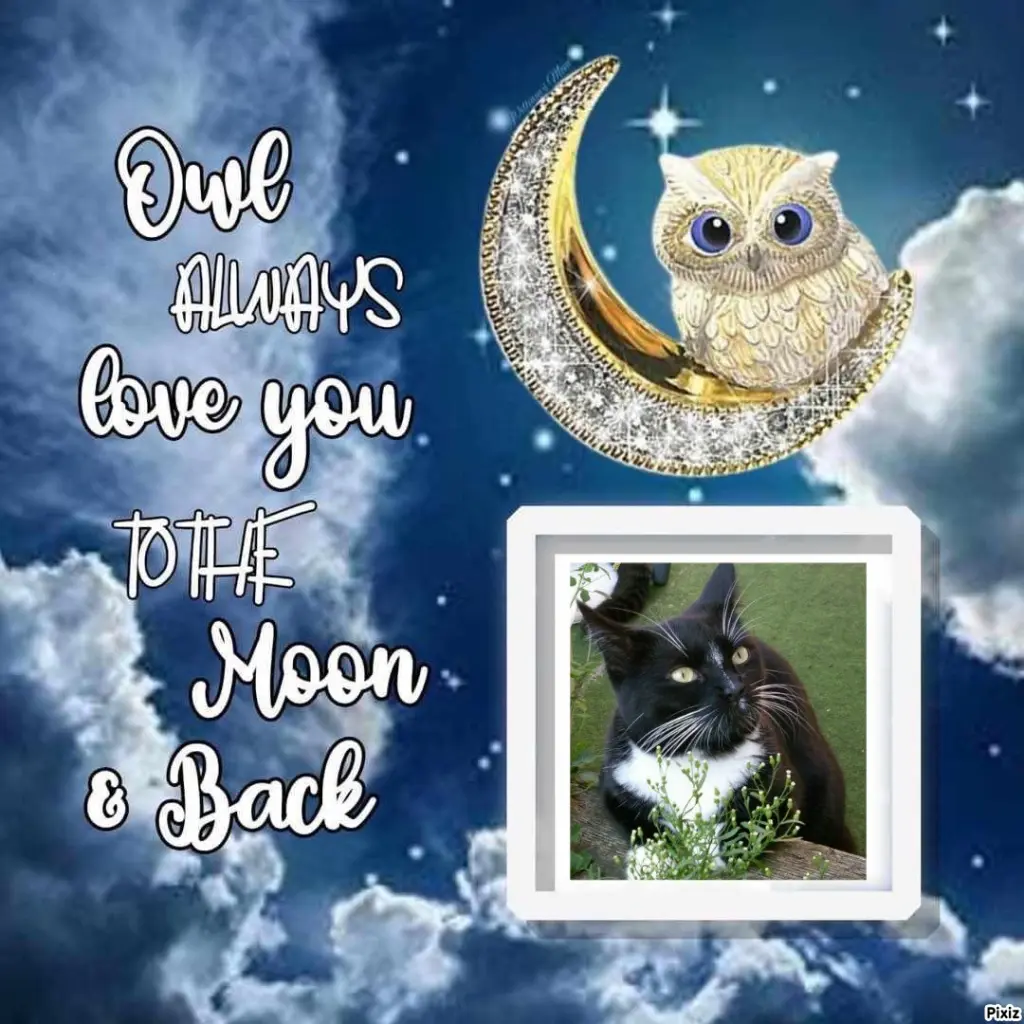 Andachtsbild von Tanja mit Timmy im Herzen