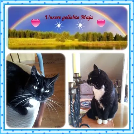 Andachtsbild von deiner Ilse in Liebe zum 59. Monatsgedenken