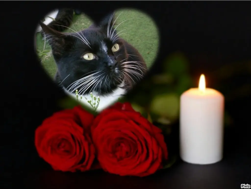 Andachtsbild von Tanja mit Timmy im Herzen