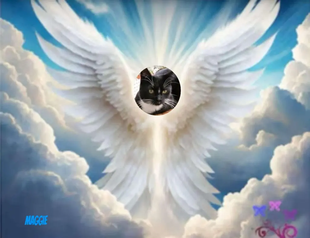 Andachtsbild von ❤️❤️❤️❤️❤️❤️❤️❤️❤️❤️❤️❤️