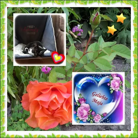 Andachtsbild von deiner Ilse in Liebe zum 63. Monatsgedenken