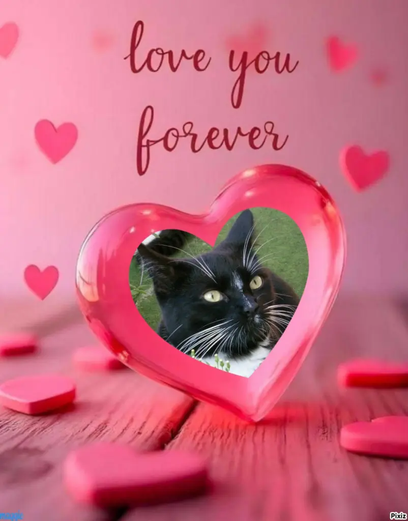 Andachtsbild von Tanja mit Timmy im Herzen