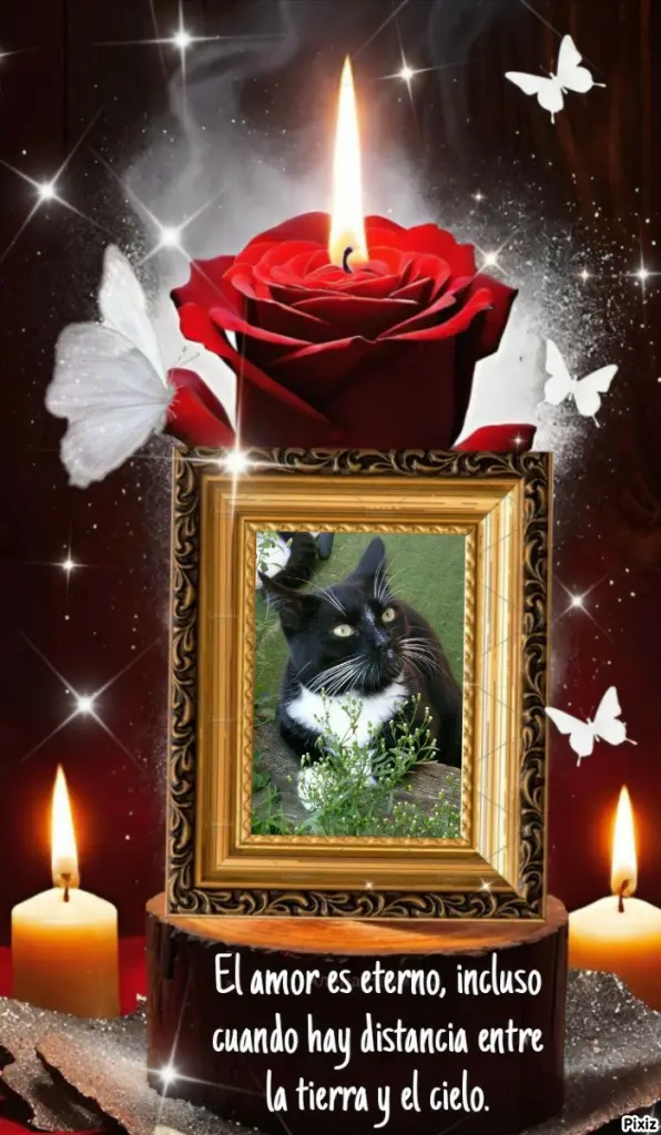 Andachtsbild von Tanja mit Timmy im Herzen