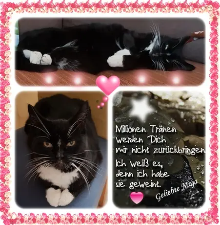 Andachtsbild von deiner Ilse in Liebe zum 66. Monatsgedenken