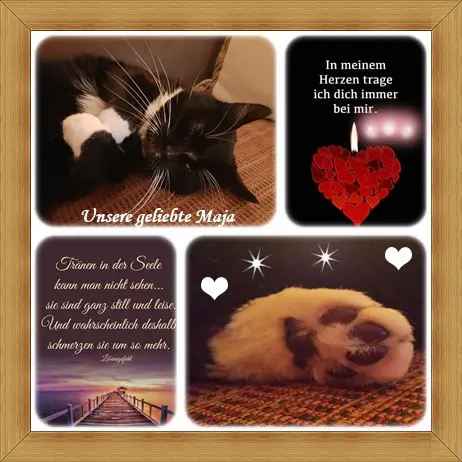 Andachtsbild von deiner Ilse in Liebe zum 67. Monatsgedenktag