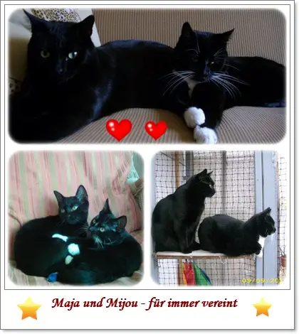 Andachtsbild von deine Ilse in Liebe zum 68. Monatsgedenken