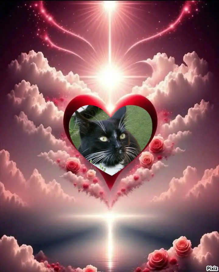 Andachtsbild von Tanja mit Timmy im 💘