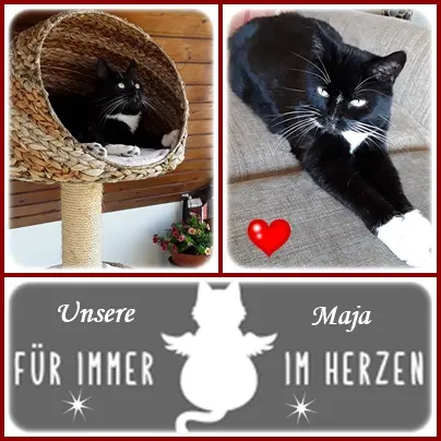 Andachtsbild von Deine Ilse in Liebe zum 71. Monatsgedenken