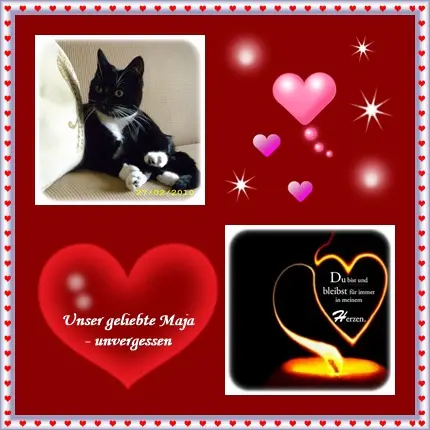 Andachtsbild von deine Ilse in Liebe zum 6. Jahresgedenken