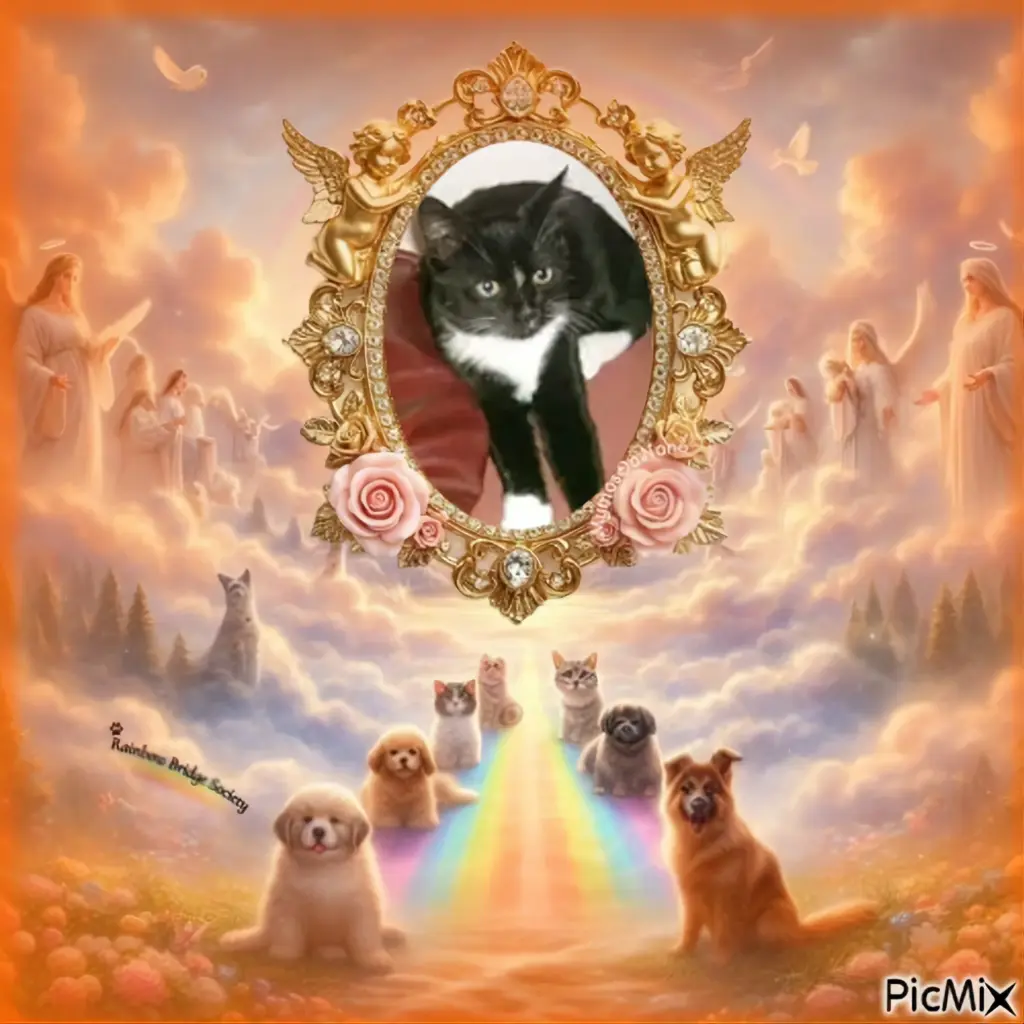 Andachtsbild von ❤️❤️❤️❤️❤️❤️❤️❤️❤️❤️❤️❤️❤️❤️❤️❤️