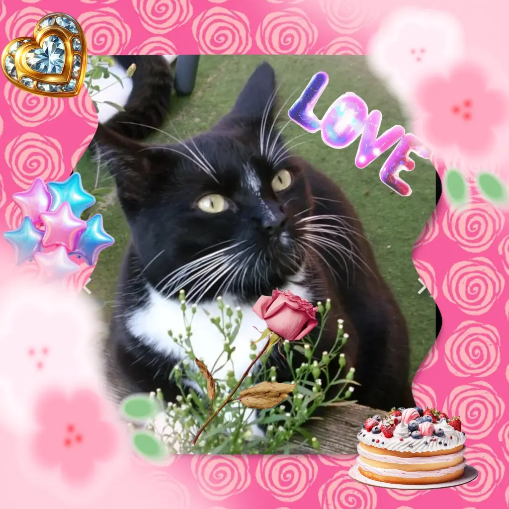 Andachtsbild von ❤️6. Sternchengeburtstag Maja❤️Eike und Edeltraud ❤️