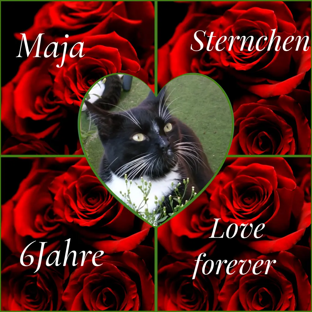 Andachtsbild von Corinna ❤️