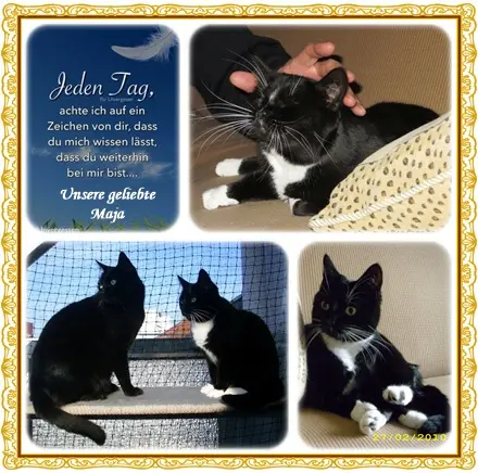 Andachtsbild von Deine Ilse in Liebe zum 73. Gedenkmonat