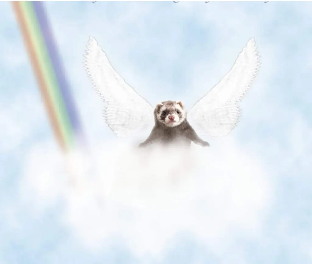 Condolence image of Unbekannt