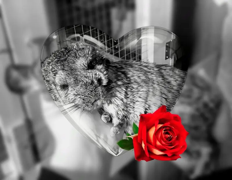 Condolence image of Mama & Papa