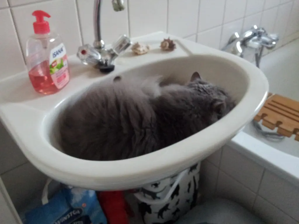 Bild von Linda