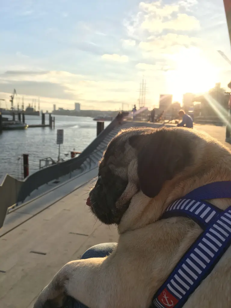 Image from Murphy