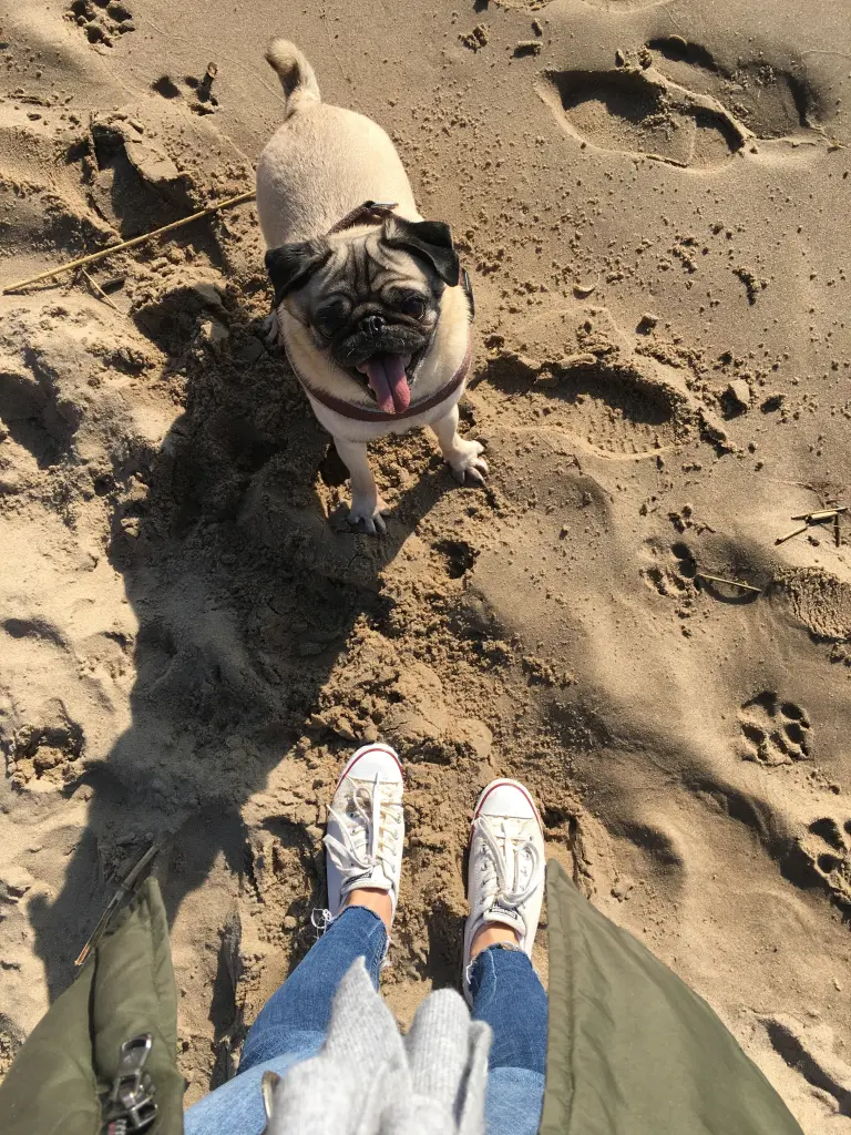 Image from Murphy
