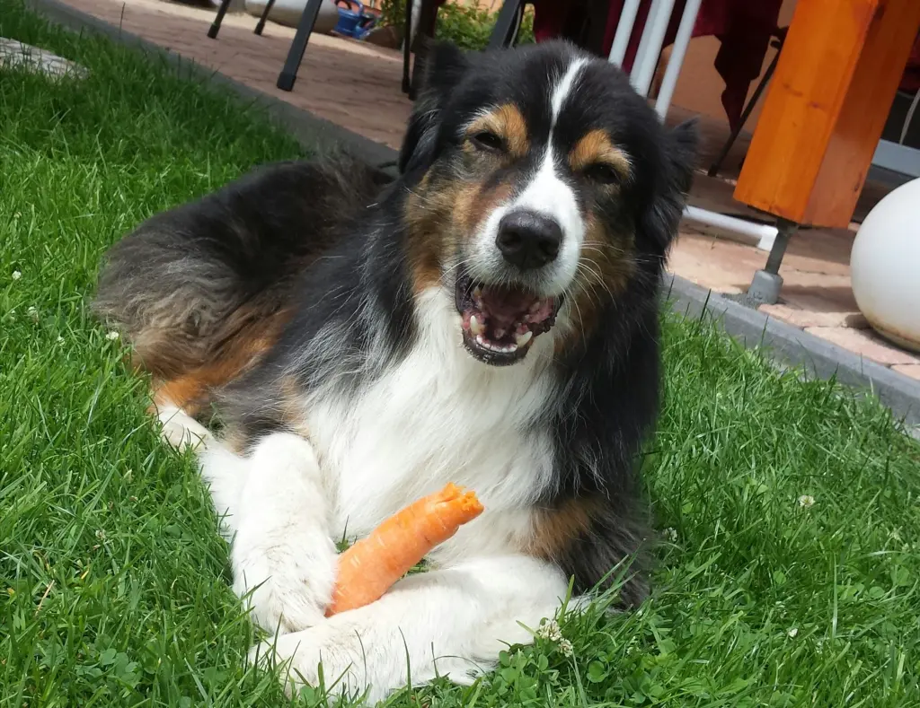 Andachtsbild von Petra