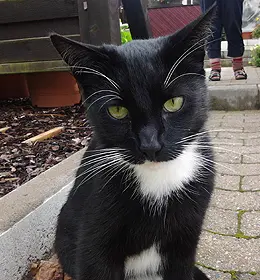 Andachtsbild von Claudia mit Mäußchen im Herzen
