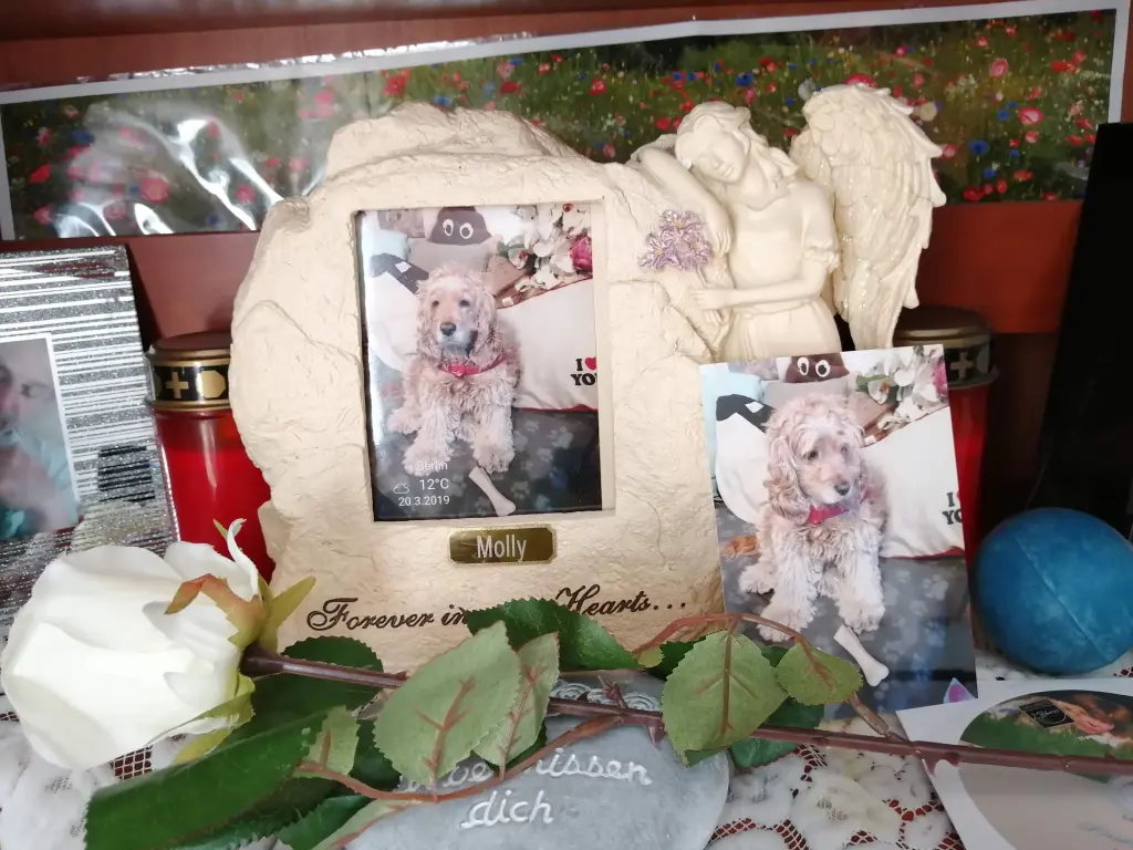 Condolence image of Volker
