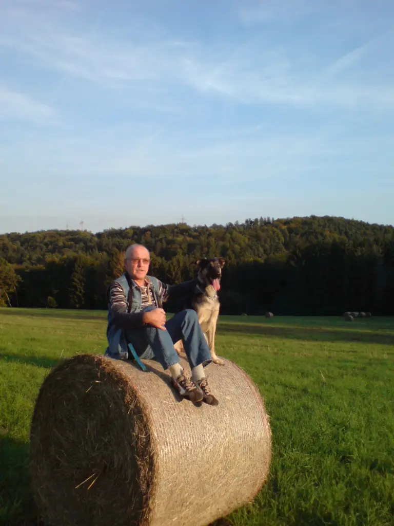 Image from Zora