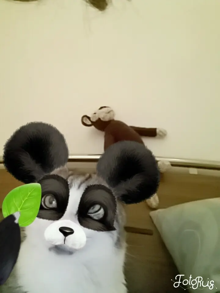 Image from Sammy