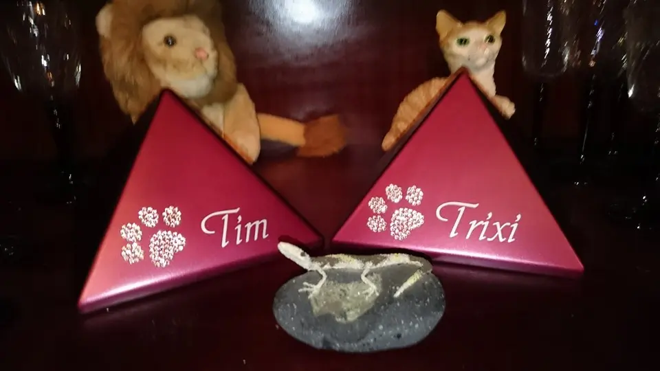 Image from Tim & Trixi