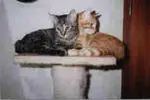 Image from Tim & Trixi
