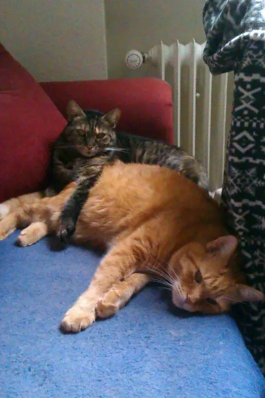 Image from Tim & Trixi